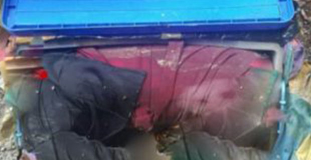 Pelaku Mutilasi di Bengkalis Diamankan di Jakarta