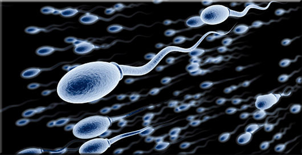 36 Anak Lahir Dari Ayah Yang Sakit Jiwa " Akibat donor Sperma "