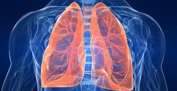 Kebiasaan Merokok Dapat Merusak Paru-paru, Begini Caranya