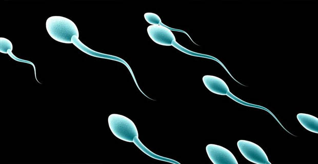 Merokok Bisa Menurunkan Kualitas Sperma