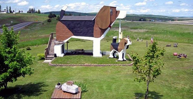 Cobalah Sensasi Baru Menginap di Rumah Anjing Terbesar di Dunia