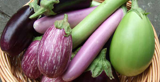 Inilah 5 Alasan Sehat Kenapa Kamu Harus Mencintai Terung