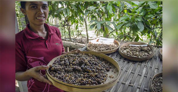 Inilah Makanan di Dunia Yang Paling Berharga
