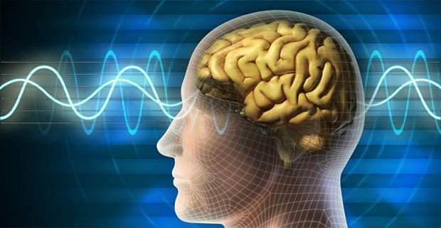 Berikut 3 Indera Terpenting Manusia Yang Tidak Anda Ketahui