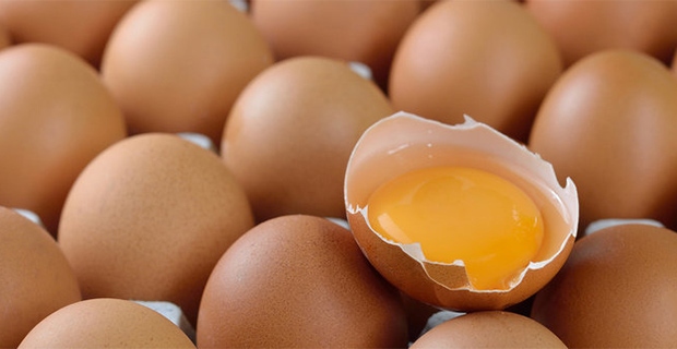 Cara Ampuh Mencegah Penyakit Stroke Dengan Konsumsi Sebutir Telur Per Hari