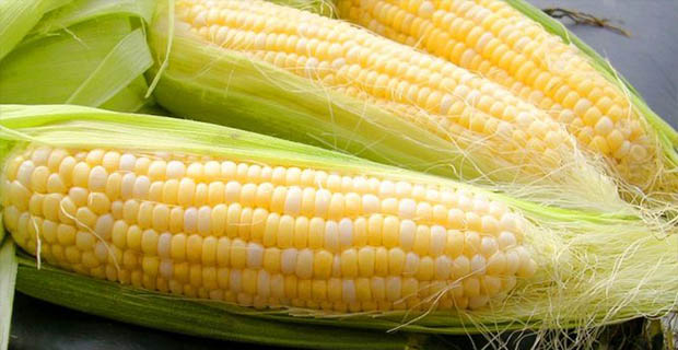 Inilah 7 Manfaat Sehatnya Rambut Jagung