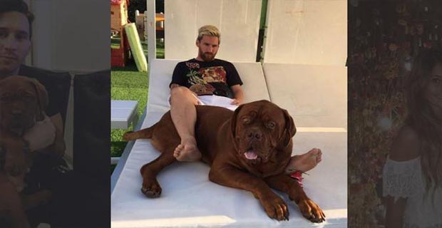 Roccuzzo Memberikan Hadiah Anak Anjing yang Lucu Kepada Messi