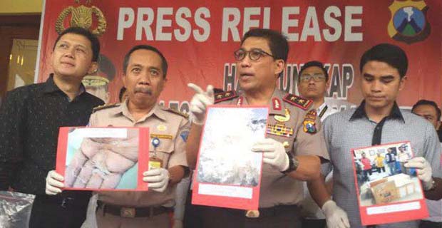 Polda Jatim Gagalkan Penyelundupan Bayi Lobster dari Banyuwangi